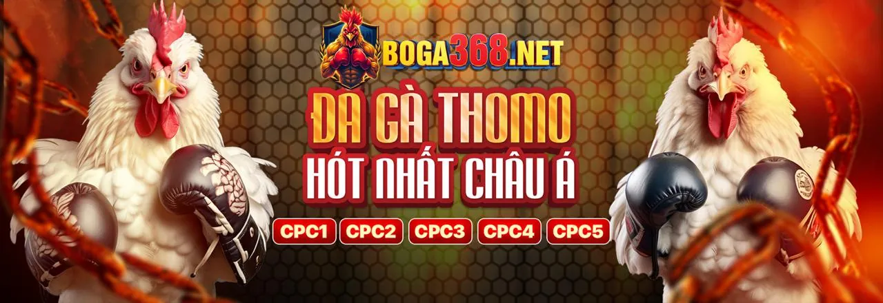 Sân vận động thể thao sôi động tại 888k chính thức