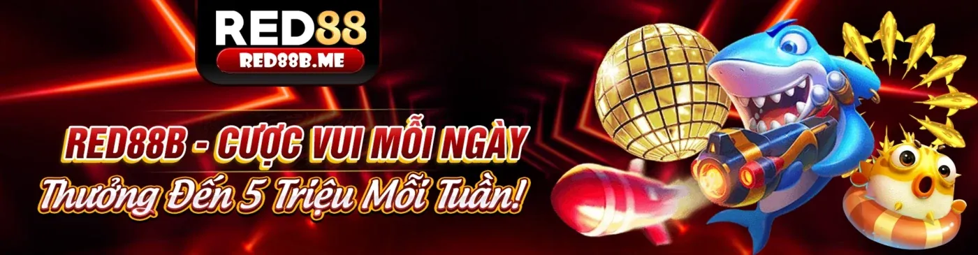 Tin tức 888k chính thức 2026